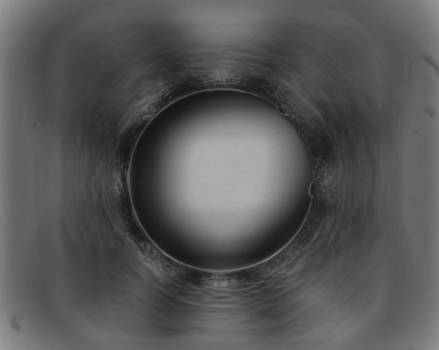 X0000091880746200709121413
