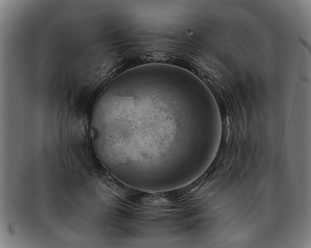 X0000091880747200709121413