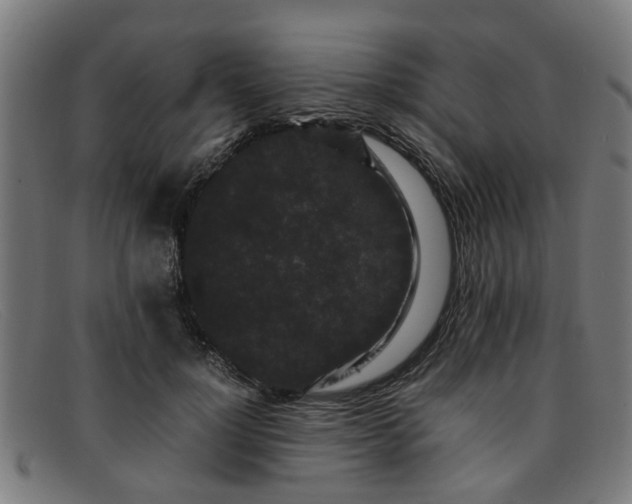 X0000091880748200709121413