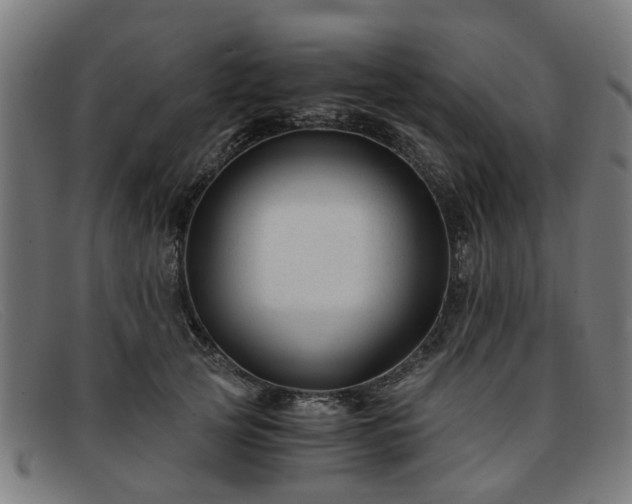 X0000091880753200709121413