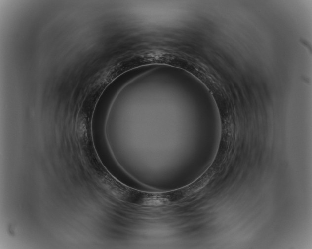 X0000091880754200709121413