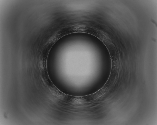 X0000091880755200709121413
