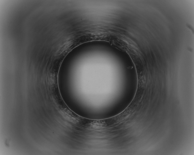 X0000091880756200709121413