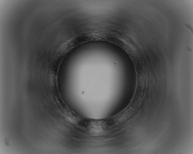 X0000091880757200709121413