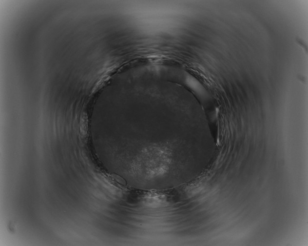X0000091880760200709121413