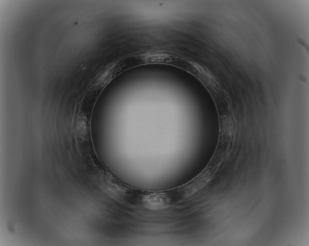 X0000091880761200709121413