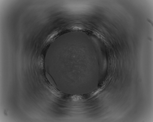 X0000091880762200709121413
