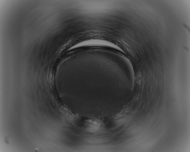X0000091880763200709121413