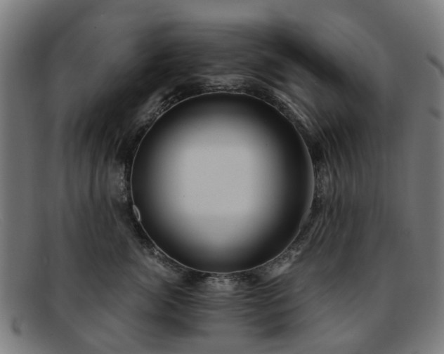 X0000091880764200709121413