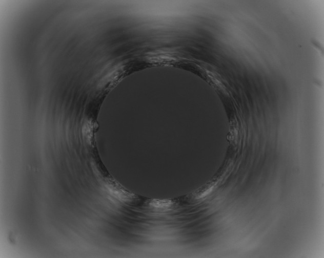 X0000091880767200709121413