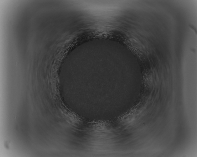 X0000091880769200709121413