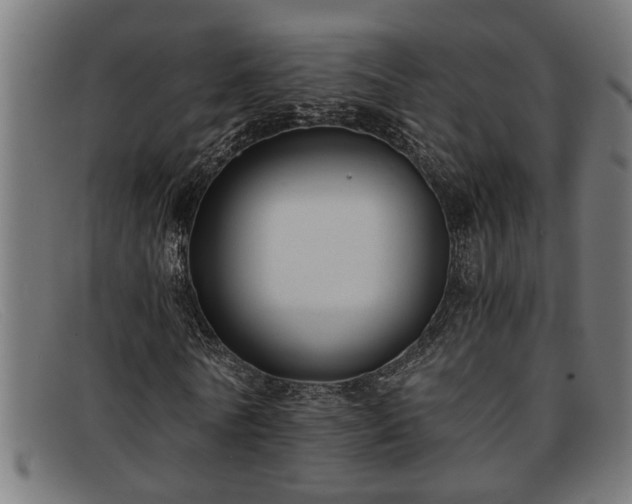 X0000091880770200709121413