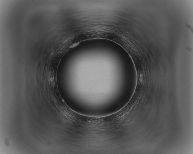 X0000091880771200709121413