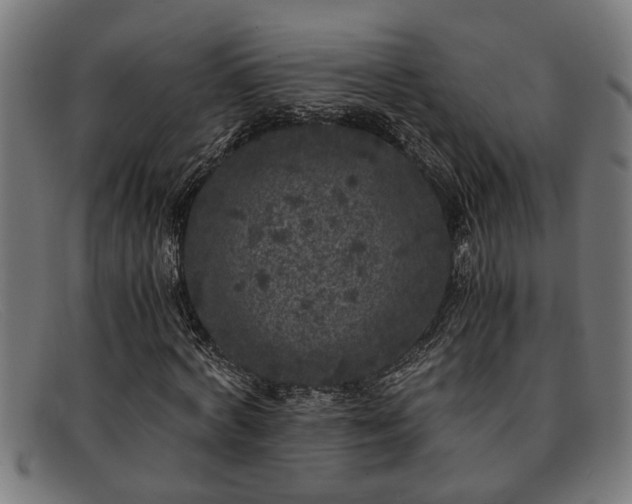 X0000091880772200709121413