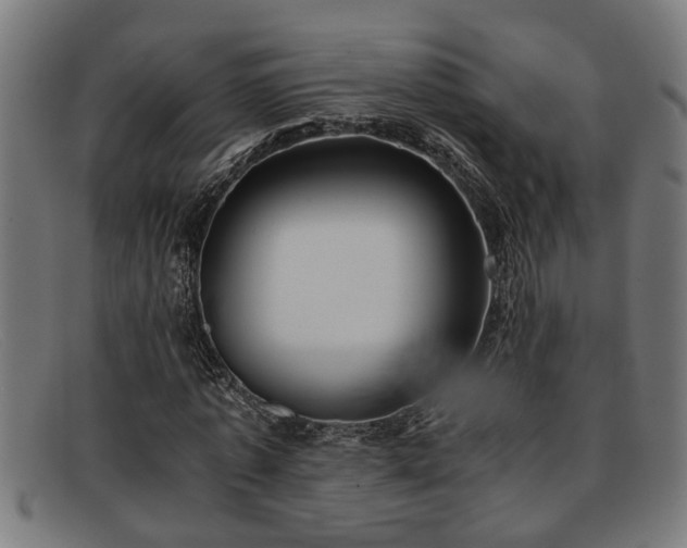 X0000091880773200709121413