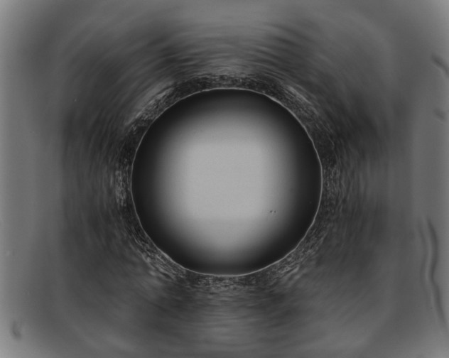 X0000091880774200709121413
