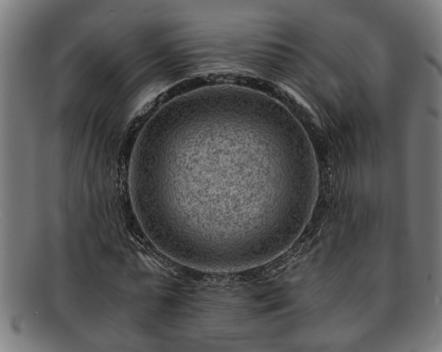 X0000091880775200709121413