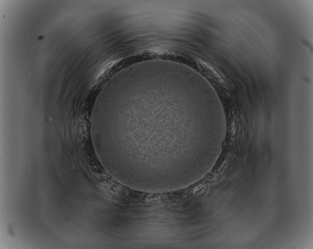 X0000091880776200709121413
