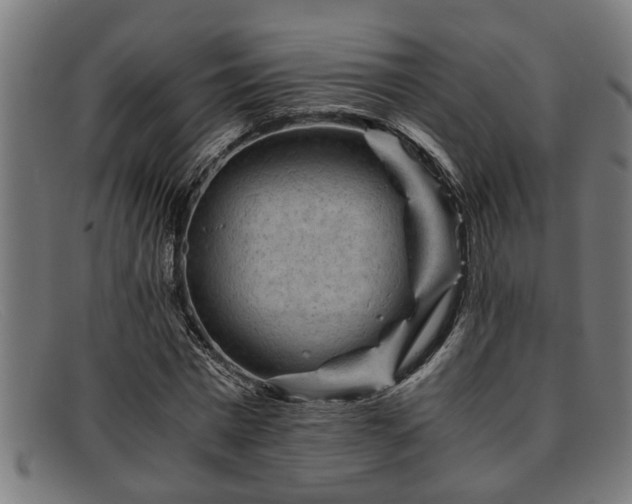 X0000091880777200709121413