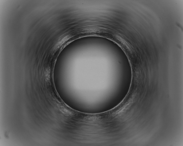X0000091880778200709121413