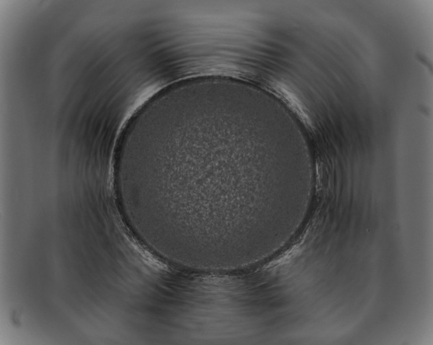 X0000091880780200709121413