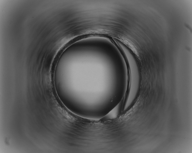 X0000091880784200709121413