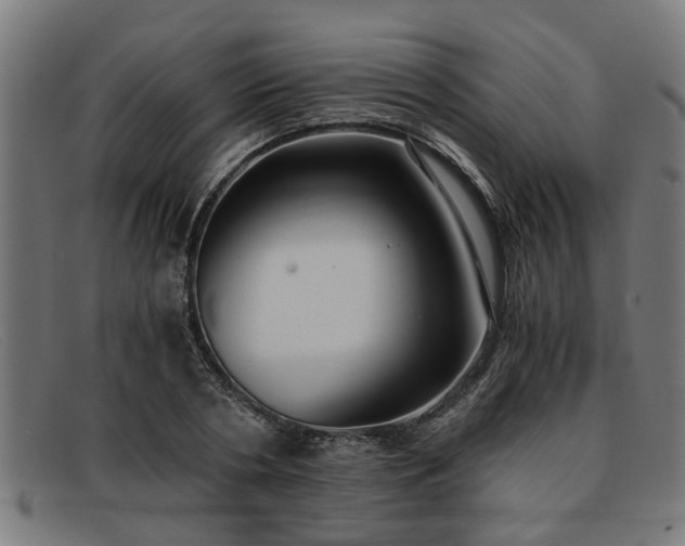 X0000091880786200709121413