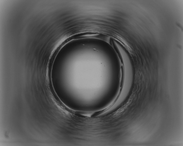 X0000091880788200709121413