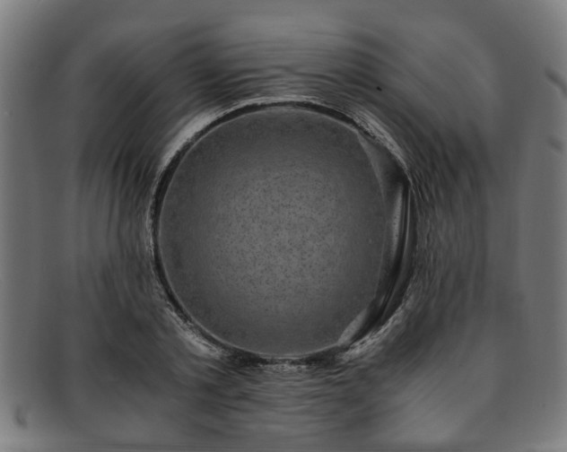 X0000091880789200709121412
