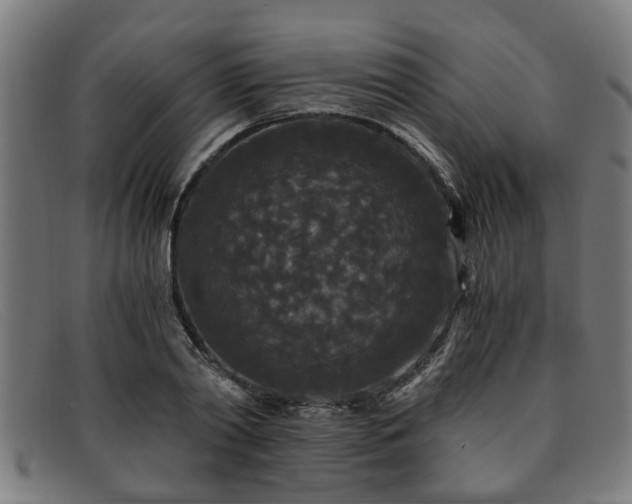 X0000091880790200709121412