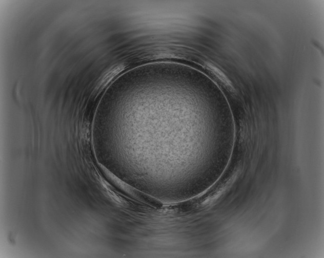 X0000091880793200709121412