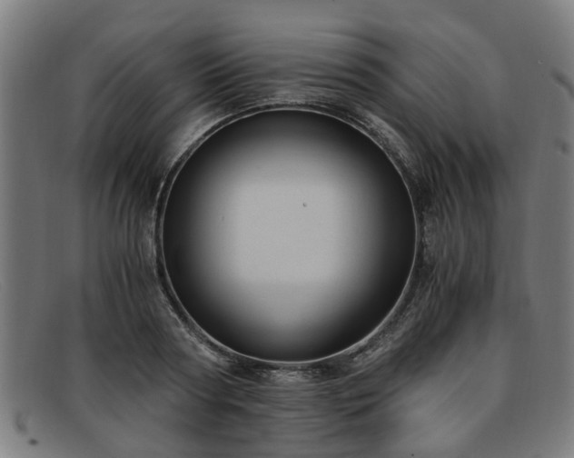 X0000091880794200709121412