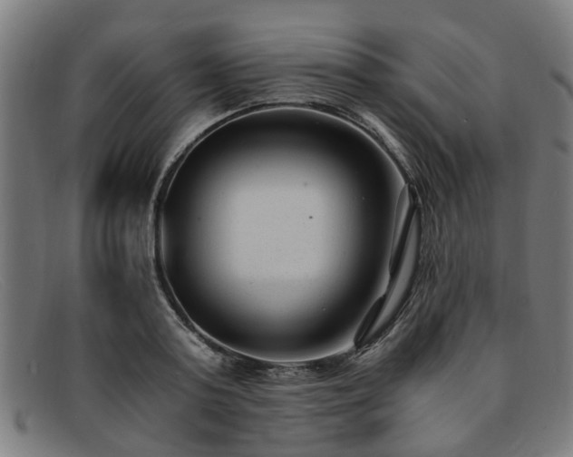 X0000091880795200709121412