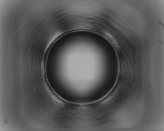 X0000091880796200709121412