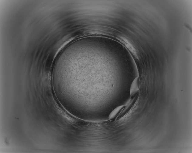X0000091880798200709121412