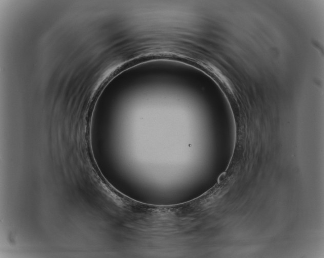 X0000091880799200709121412