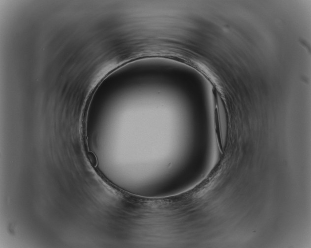 X0000091880803200709121412