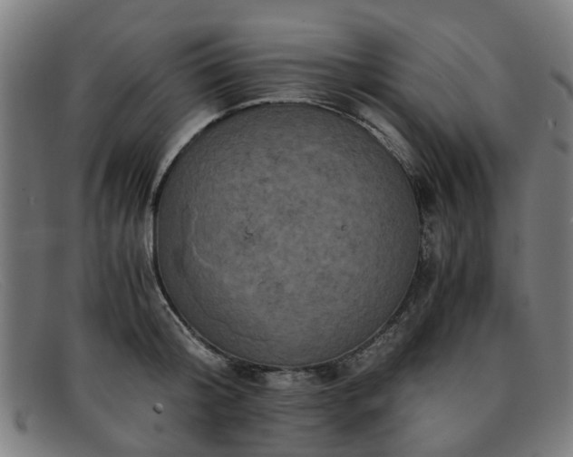 X0000091880804200709121412