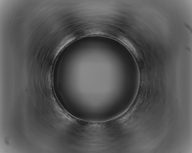 X0000091880806200709121412