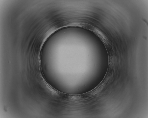 X0000091880808200709121412