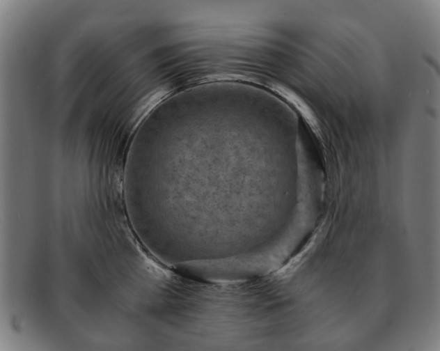 X0000091880809200709121412