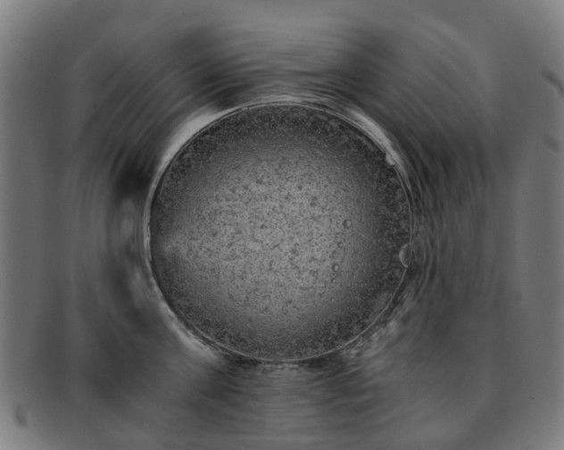 X0000091880811200709121412