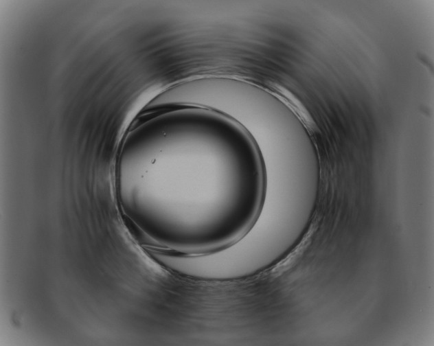 X0000091880812200709121412