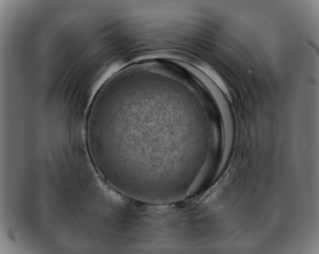 X0000091880813200709121412