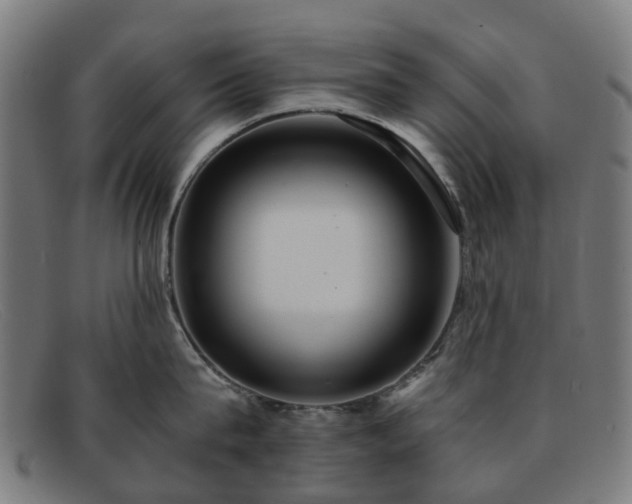 X0000091880815200709121412