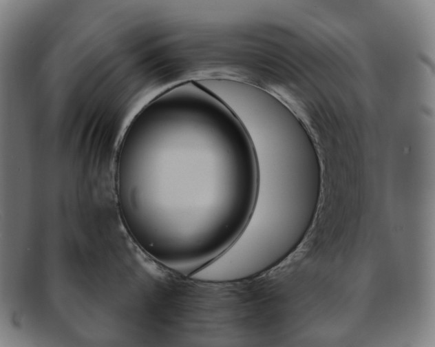 X0000091880816200709121412