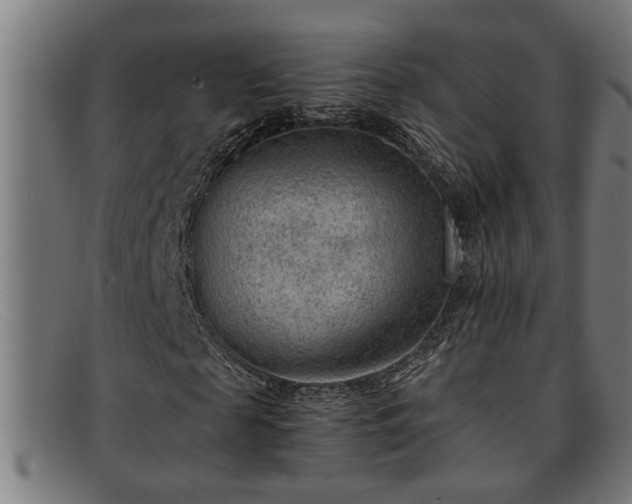 X0000091880817200709121412