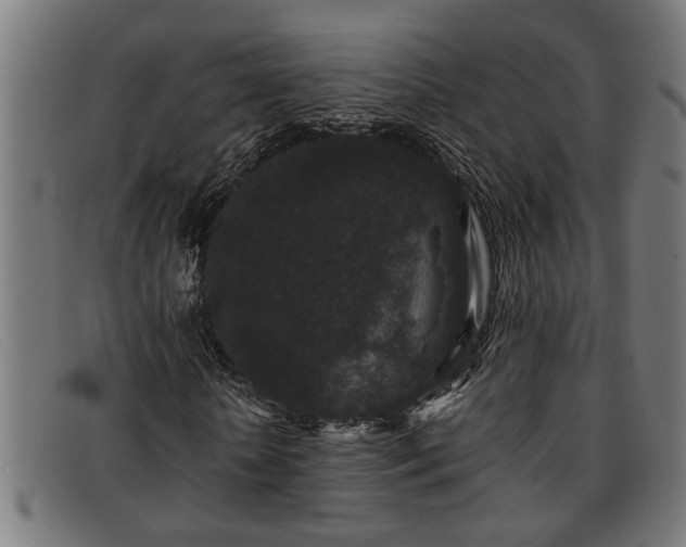 X0000091880818200709121412