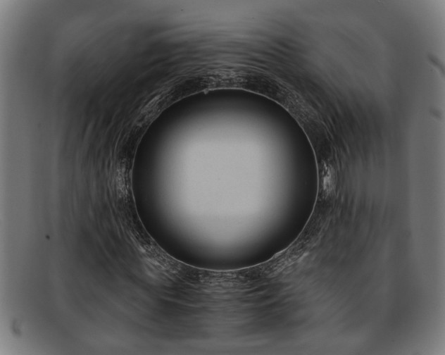 X0000091880819200709121412