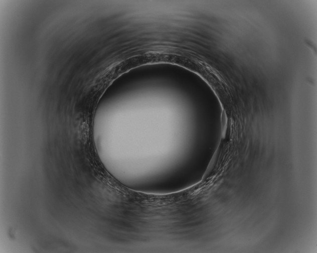 X0000091880821200709121412